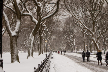 Blizzard in Central Park. Manhattan