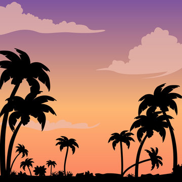 Sunset on a tropical island against a silhouette of palm trees. Evening background image with clouds.
