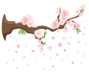 Branch of pink blossoming sakura. Japanese cherry tree. Vector decoration branches with flowers, spring Flat design style vector illustration