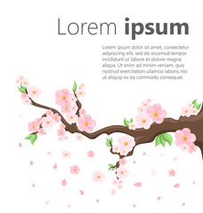Branch of pink blossoming sakura. Japanese cherry tree. Vector decoration branches with flowers, spring Flat design style vector illustration