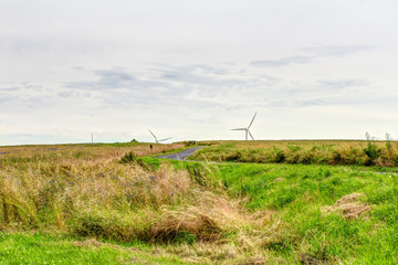 Fototapeta na wymiar Meadow and wind wheels for energy production