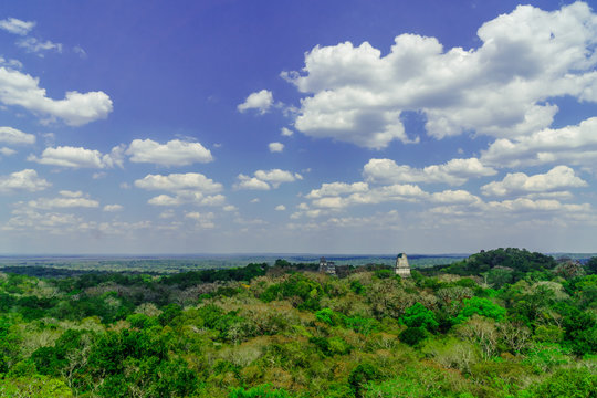 panoram of Maya pyramid in the rain forest of Tikal in Guatemala