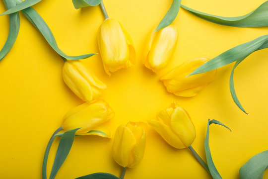 Fototapeta Bouquet of tulips in color background