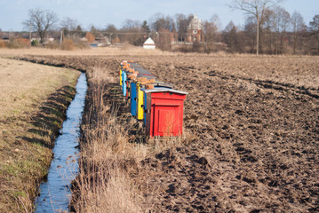 kolorowe ule nad strumykiem © winiar
