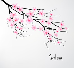Beautiful romantic card with sakura branch. Vector