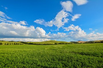 scenic views of the hills of Siena in Tuscany Italy, in spring