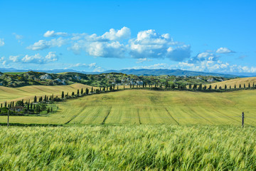 scenic views of the hills of Siena in Tuscany Italy, in spring