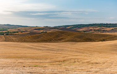Fototapeta na wymiar panorama of the Tuscan land in Italy