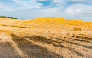 Obraz premium panorama of the Tuscan land in Italy