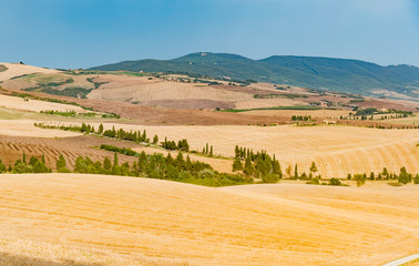 Fototapeta premium panorama of the Tuscan land in Italy