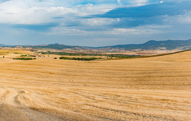 Obraz premium panorama of the Tuscan land in Italy