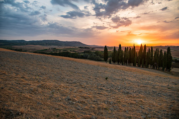 Fototapeta premium panorama of the Tuscan land in Italy