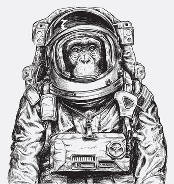 Hand Drawn Monkey Astronaut Vector © Michael Hinkle
