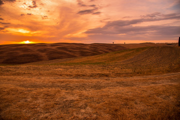 Obraz premium panorama of the Tuscan land in Italy