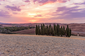 Obraz premium panorama of the Tuscan land in Italy