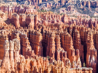 Colorful Landscape background