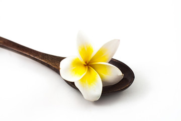 Frangipani in the wooden spoon over the white background