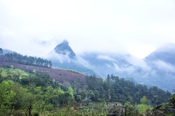 The mountains scenery in the mist