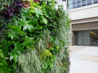 Green facade in Yokohama Japan