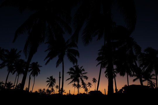 Praia Do Forte - Bahia, Brazil