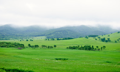 Obraz premium Green hills in the morning mist