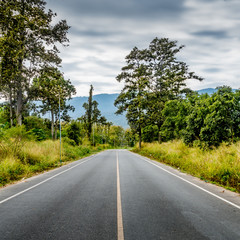 Asphalt country road