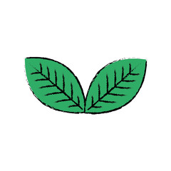 leaves icon image