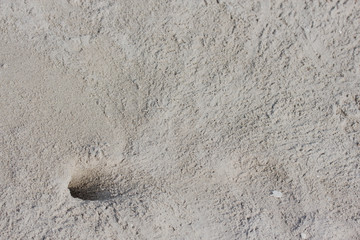 sandy
