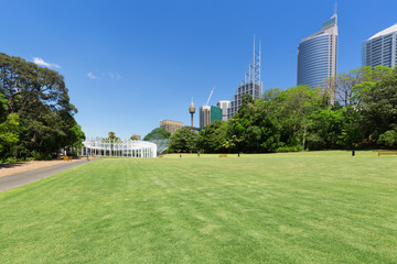 Sydney Botanical Gardens and the City