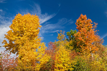 October's bright fall colors