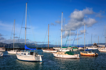 Fototapeta na wymiar landscape with yachts - destination Wellington, North Island, New Zealand