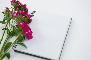 Pink flowers with spiral book