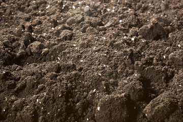 Soil closeup top view