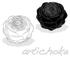 artichoke vector isolated on white background