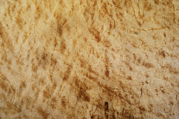 Close-up view of an old antique drumhead surface is made from buffalo leather. Abstract full frame detail of an old skin drumhead. Natural leather texture background from musical instrument.