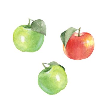 Watercolor apples, isolated on white background. Hand drawn elements for design