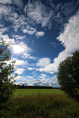 Obraz premium lanscape meadow sky cloud