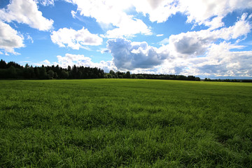 lanscape meadow sky cloud