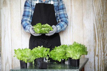 man in apron and gloves holds a bowl of fresh green salad