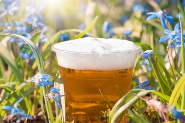 Foto auf Leinwand beer and blue flowers spring, snowdrop Scilla © fotolesnik