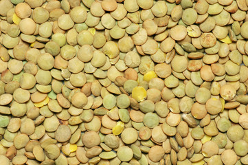 Green lentil background
