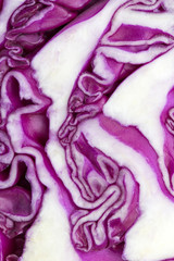 Obraz premium Red cabbage as background
