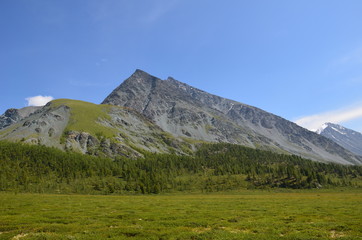 Fototapeta na wymiar Travel to Altay Mountains