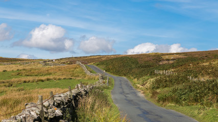 Yorkshire Dales landscape, seen from Hargill Lane, between Castle Bolton and Grinton, North Yorkshire, UK