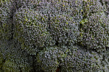 Macro shot of broccoli