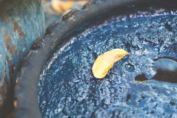 Indigo Dyed Yarns Pots