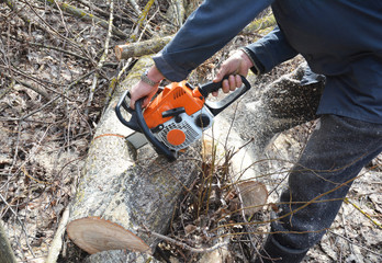Worker hands with Petrol Chainsaw Cutting Trees. Man with Gasoline Petrol Chain Saw Tree Cutting Outdoor.