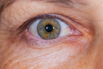 Elderly female's green eye