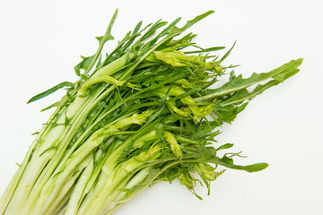 Fresh and raw puntarelle chicory on white