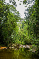 Fototapeta na wymiar River in Sinharaja rainforest